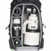 Shop BackLight® 36L in australian