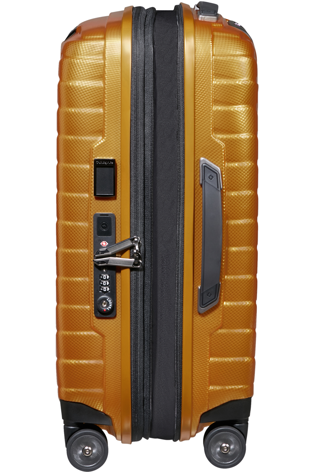 Shop PROXIS 55cm (23/26cm) Spinner Expandable (4 wheels) - Honey Gold in australian