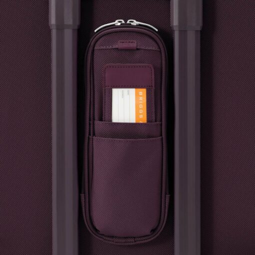 Shop BASELINE Limited Edition Global Carry-On Spinner - Plum in australian