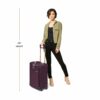 Shop BASELINE Limited Edition Essential 2-Wheel Expandable Carry-On - Plum in australian